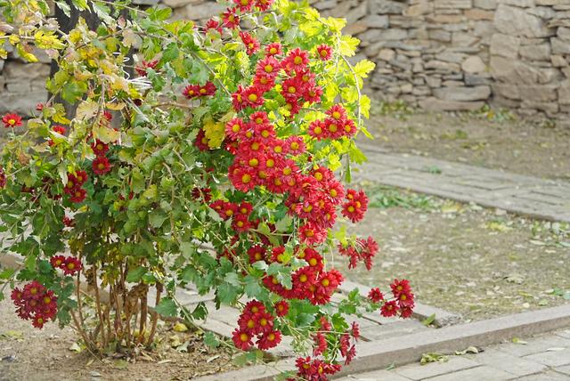 寻访花街石巷里的北市村：在落日与石头房子里，安放一份乡愁