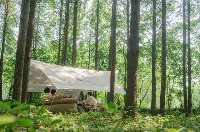 罗泾这5个宝藏村落，秋日chill感满分！一起来打卡吧~