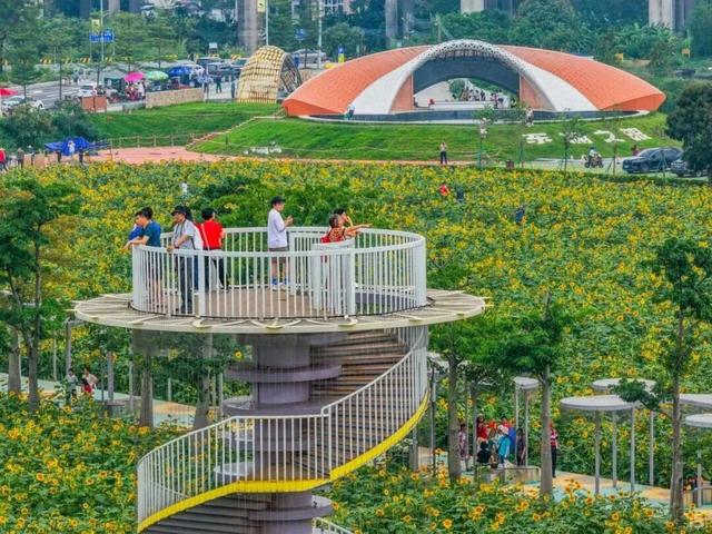 来南沙看五月天！看海、骑行……100+网红打卡点合集→