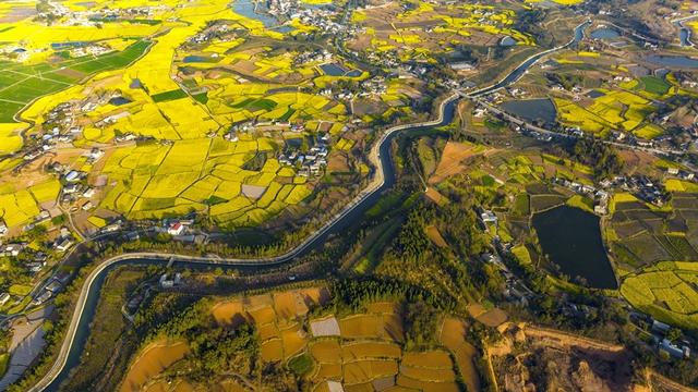 旧友回归、新客到访  四川的生态惊喜藏不住丨牢记嘱托 奋力打造两高地两基地一屏障