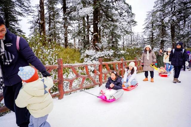 冷空气预警！鹅毛大雪即将突袭瓦屋山！