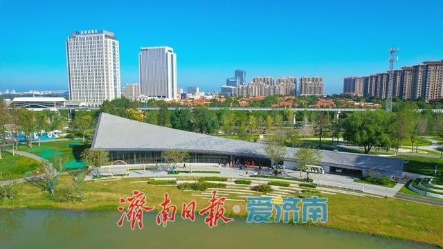 济南彩虹湖公园邂逅一场初秋清晨的诗意与清凉