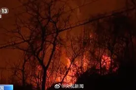 韩国山火烧毁3.6万公顷山林图片