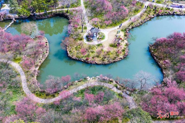 春和景明 共赴一场繁花之约