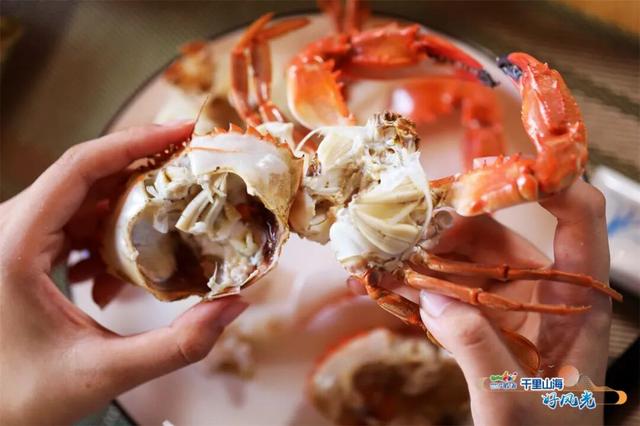 出发！抓住秋天的尾巴威海『拾秋地图』上新啦