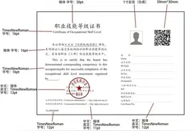什么是职业技能等级证书？与职业资格证书有什么区别？图片