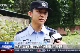 暴雨来袭 他们全力以赴保障群众安全图片