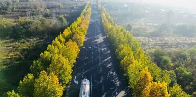 后村！真好看！赶紧转起来……