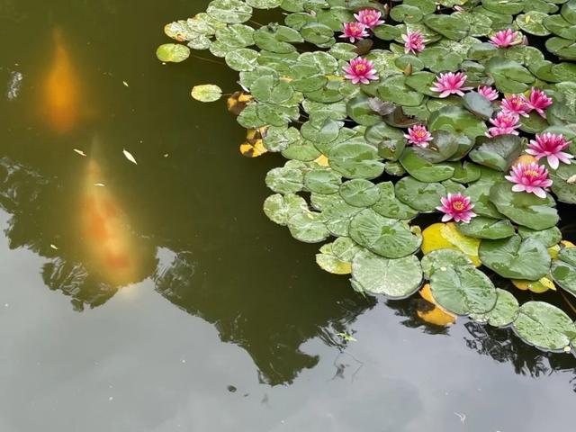灵岩秘境·天命良缘——这个八月，一念千年，不负如来不负卿