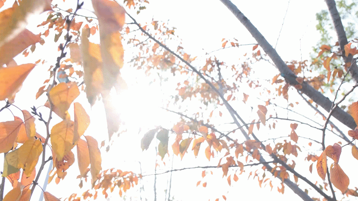 海风开道，秋色伴跑！威海喊你“动起来”~