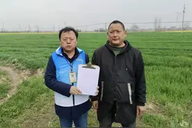 安徽省农业保险为高水平建设江淮粮仓 “保驾护航”图片