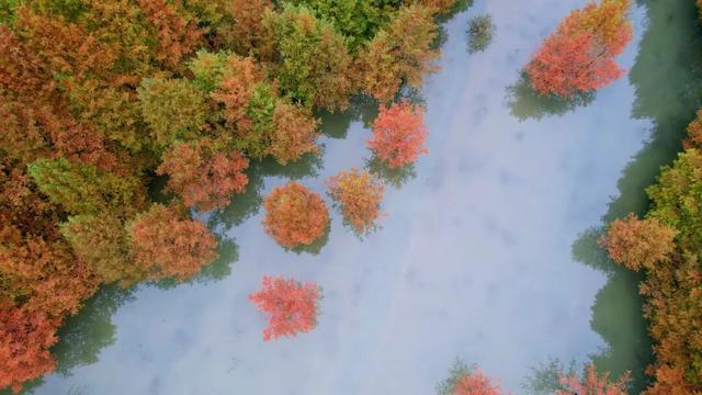 酉阳初冬美景合集：邂逅山间调色盘，每一帧都是壁纸！