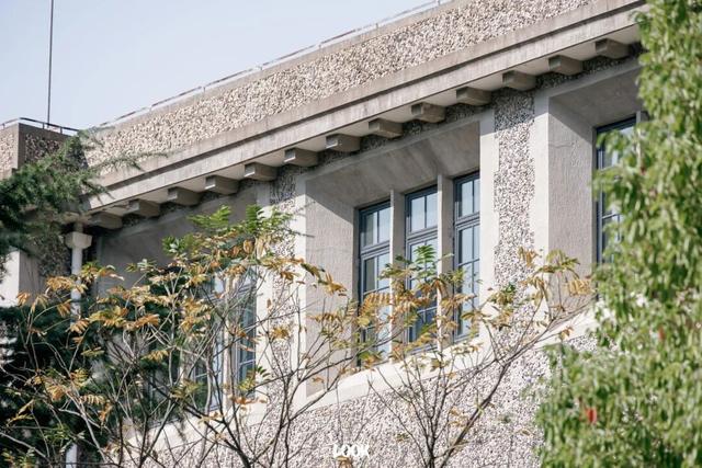 上海最美不过愚园路