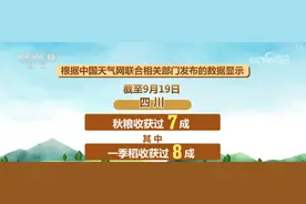 遍地金黄皆是喜 一图看全国秋收进程图片