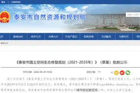 最新公示！泰安将规划构建“一屏一带、多廊多点”国土空间生态修复图片