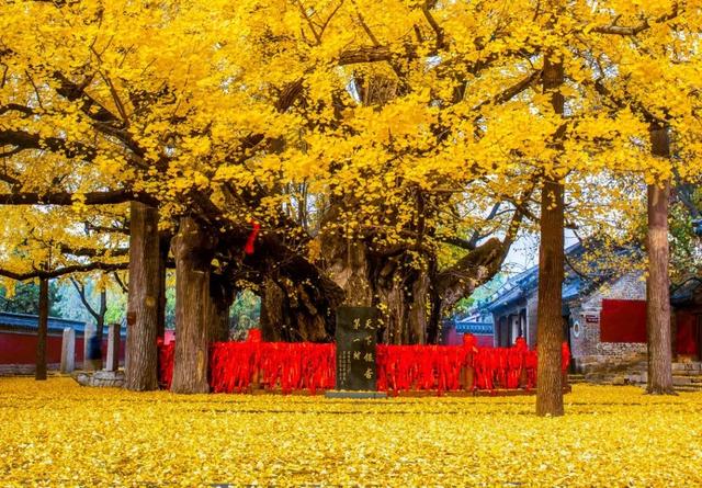 接下来的日照，是这样的！