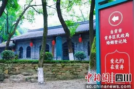 自贡贡井：“公园式”婚姻登记服务 推进婚俗改革图片
