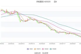 永和股份：2024年上半年净利润1.13亿元 同比增长2.40%图片