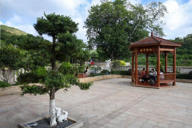 登上全省名单！翔安美景实力出圈→