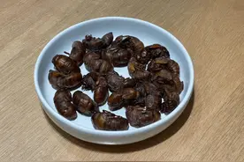 一斤百元！知了猴怎么就火出圈了？图片