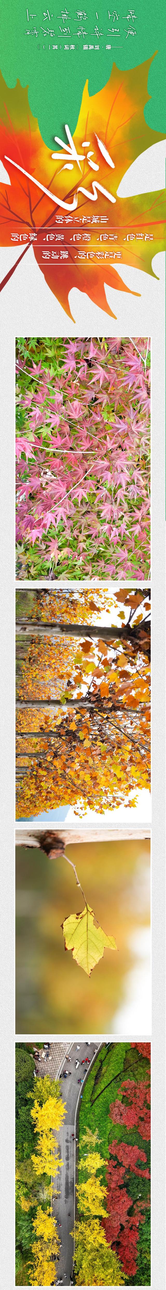 图说丨色彩 是山城写给深秋的情诗