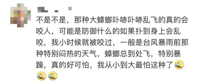 头皮发麻！蟑螂会咬人？专家说……