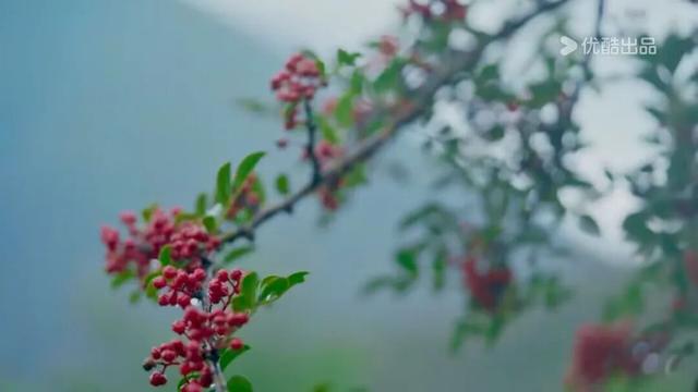 太是那个了！谭维维和丁真去过的九龙真的不一般