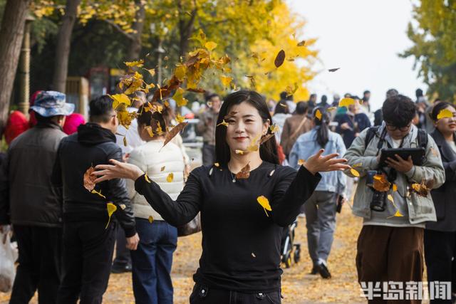 青岛故事 | 八大关银杏大道流量十足，这款落叶帽子火了！