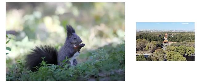 沈阳这些地方太美了!赏秋倒计时,错过等一年!