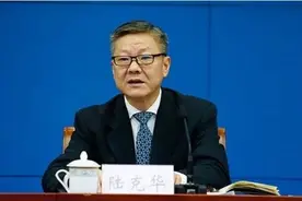 【侠客岛】陆克华被查图片