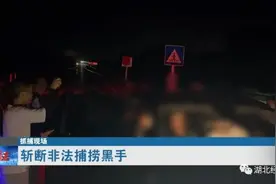 2人被逮捕，6人被刑拘！一笔流水账扯出上百万的灰色产业链图片