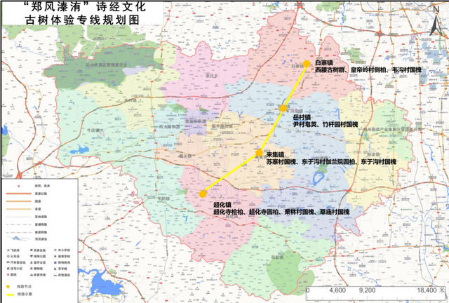 跟着古树去旅游，河南一地推出6条古树体验专线
