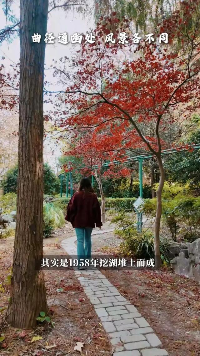长宁的“双子山”爬过伐？跟着“宁宁”来爬山了！【看“宁”的】
