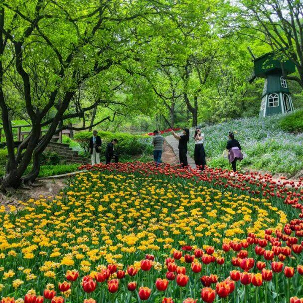 从云端到山野，济南这两地入选省级案例！你打卡过吗？