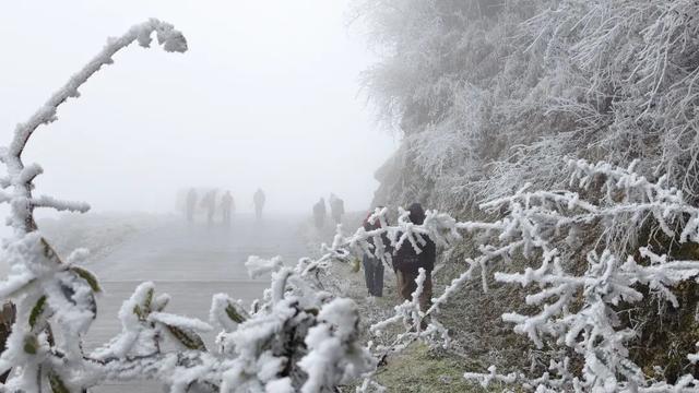 冬日限定！贵州的雾凇秘境藏不住了