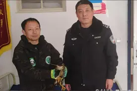 国家二级保护动物夜鹭翅膀受伤落地，城阳警民暖心救助图片