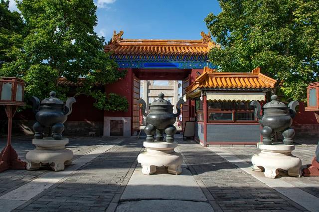 错过这片顶流风景的北京人，只能再等一年