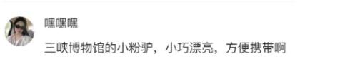 外地朋友来重庆推荐带啥特产回家？不要火锅、麻花……