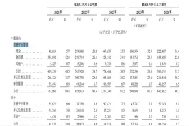 货拉拉第四次闯IPO！上半年赚了2.13亿美元 腾讯、高瓴、红杉中国投了图片