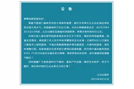 河南多地景区因大风黄色预警临时闭园或调整运营图片