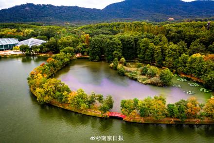 秋日南京韵味十足