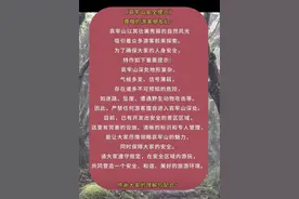 哀牢山突然爆火！紧急提示：存在不可预知危险！图片