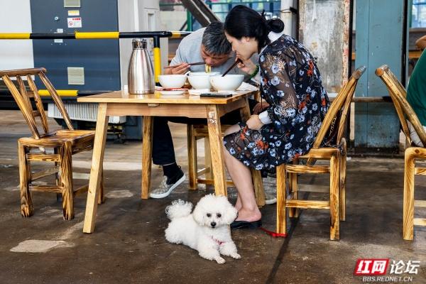 国庆打卡长沙工业风新地标：曙光茶厂的“锈”与“红”