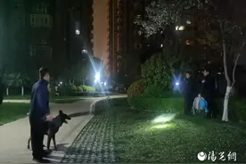 汪汪队立大功，警犬助力深夜找回儿童图片