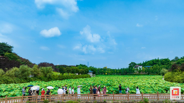 贡井区打造中医药健康旅游示范基地 推动文旅融合创新发展
