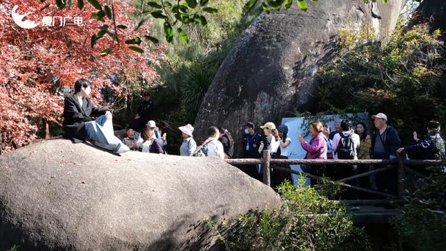 不必北上也能赏红叶？厦门这处打卡点火了！园方紧急提醒→