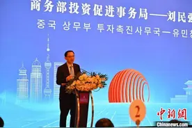 （第七届进博会）中韩企业合作交流会举行：搭建平台促合作共赢图片