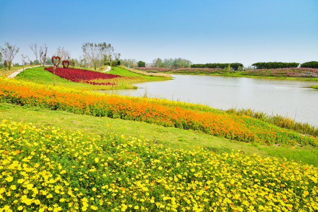 宝藏仙桃，太“鲜”啦！（采风招募）