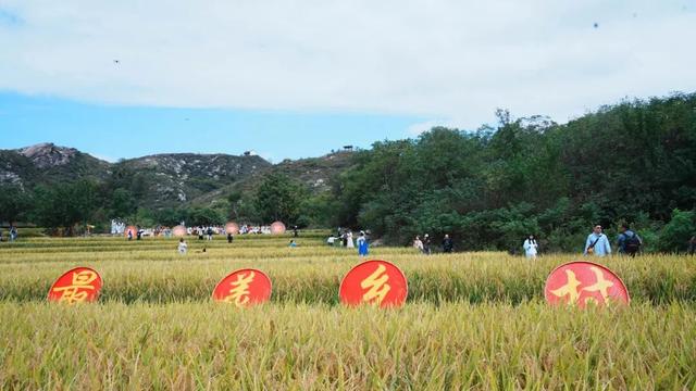 向北1h，武汉宝藏古村，已进入黄金时段！