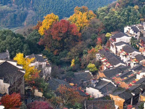 篁岭红叶 + 晒秋，定格人文自然之美